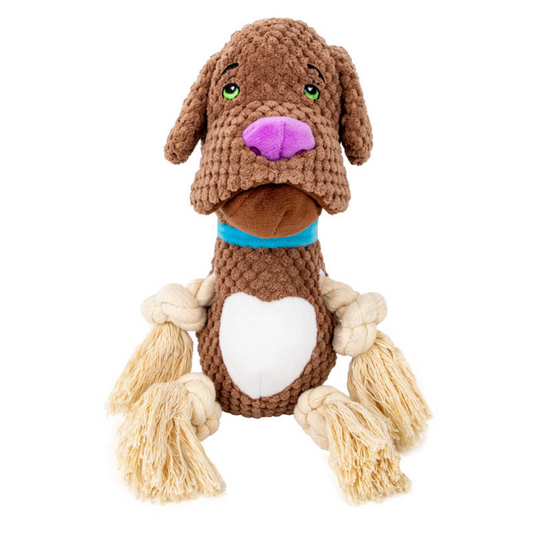 Dog Chew Toy with Squeaky Sound