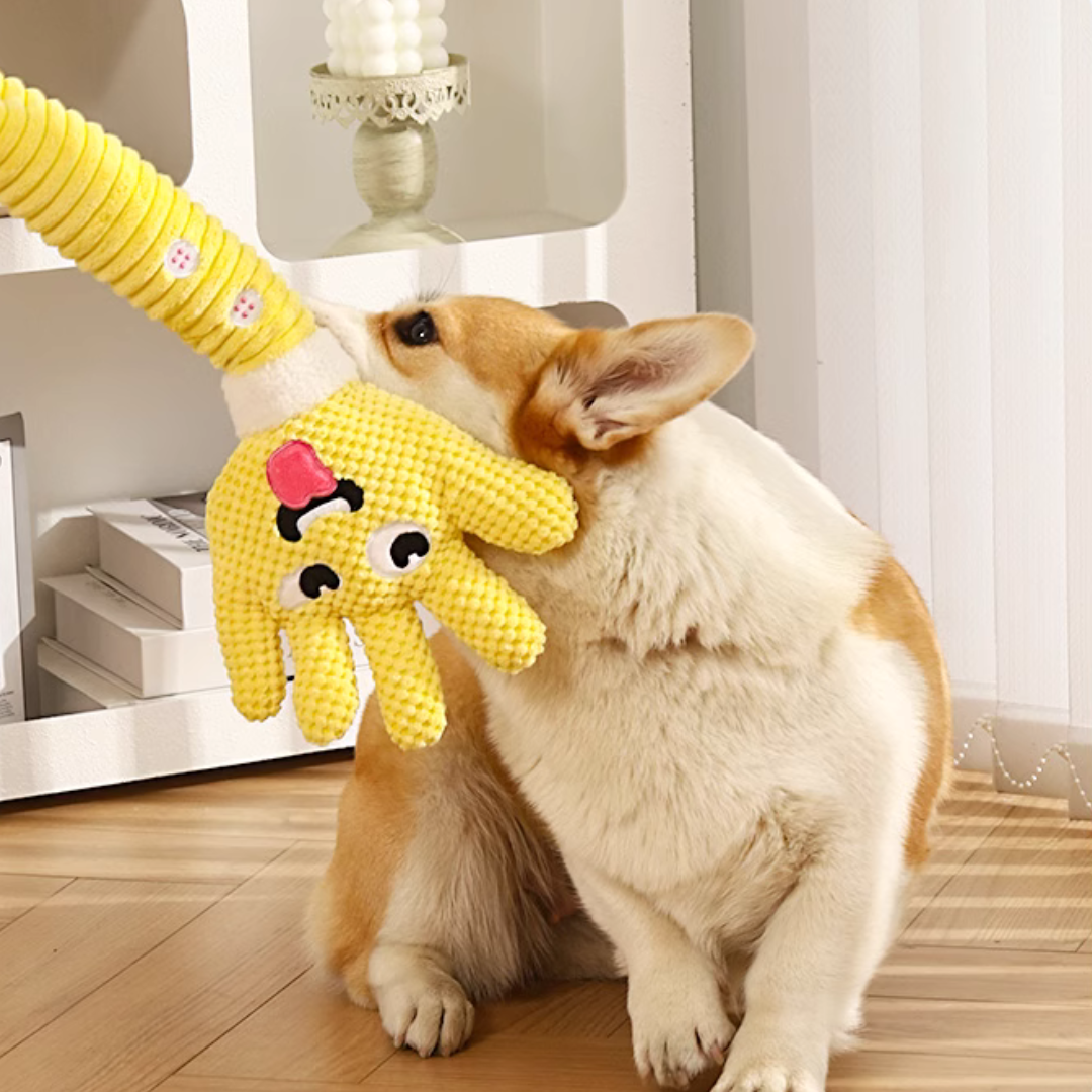 Plush Palm Dog Toy with Squeaker