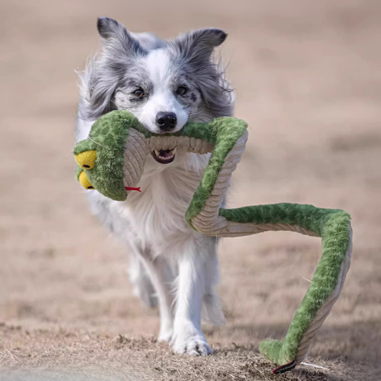 Durable Squeaky Snake Dog Toy – Tough Tug-of-War Fun