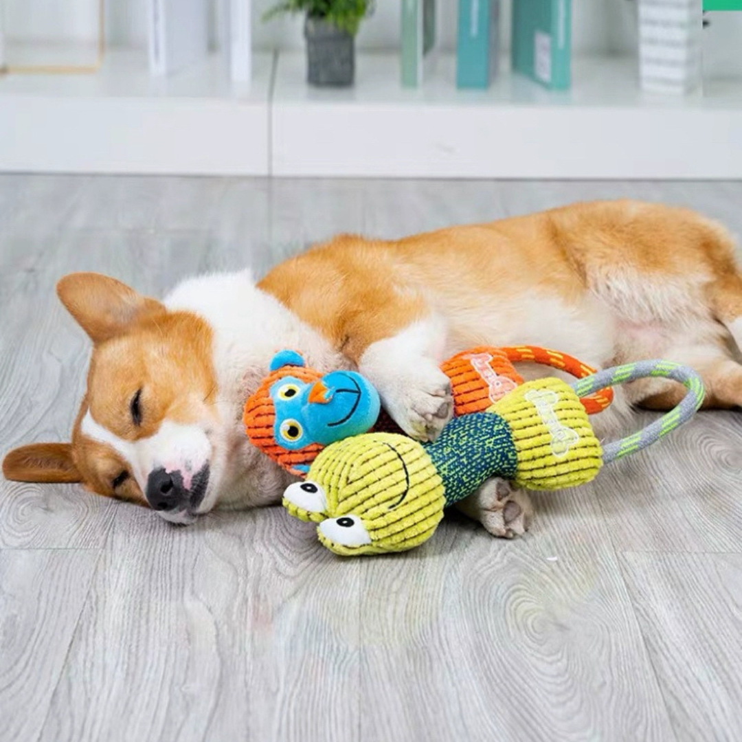 Durable Cotton Rope Dog Toy