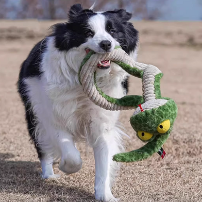 Durable Squeaky Snake Dog Toy – Tough Tug-of-War Fun
