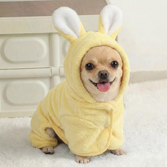 Hooded dog bathrobe for small dogs