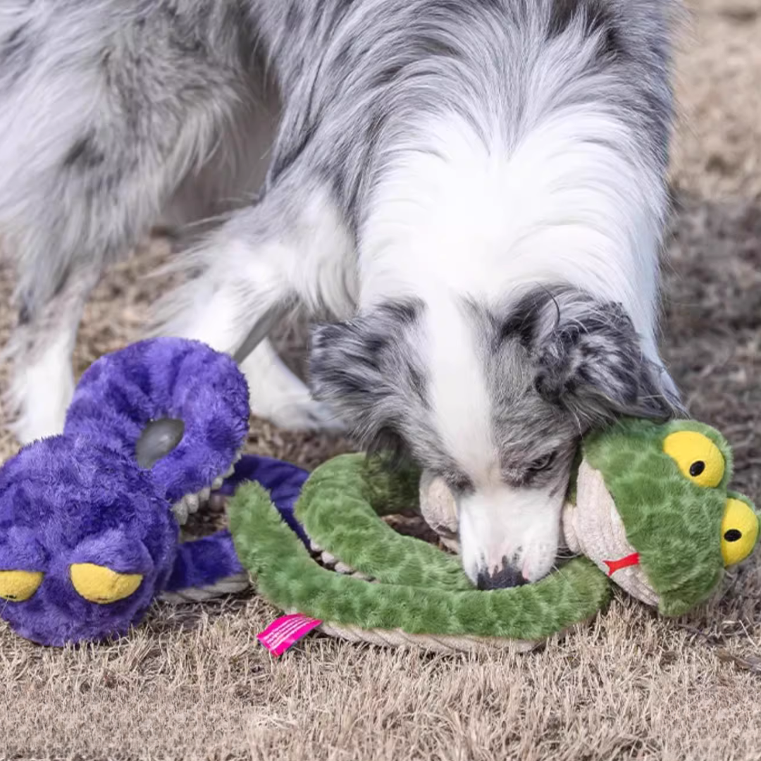 Durable Squeaky Snake Dog Toy – Tough Tug-of-War Fun