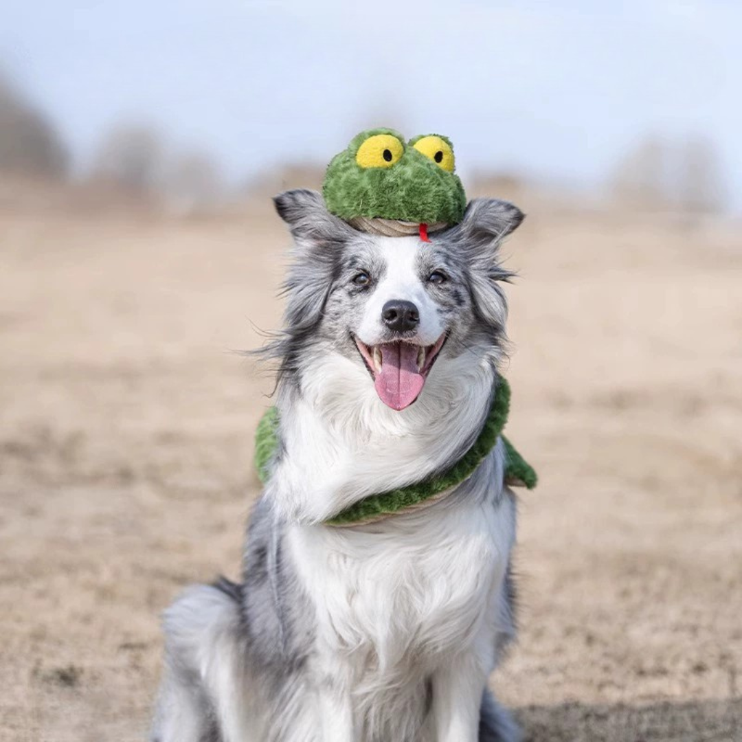 Durable Squeaky Snake Dog Toy – Tough Tug-of-War Fun