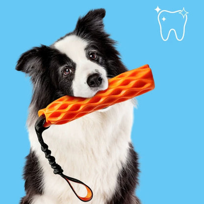 Bungee Tug Stick - Squeaky Dog Tug Toy