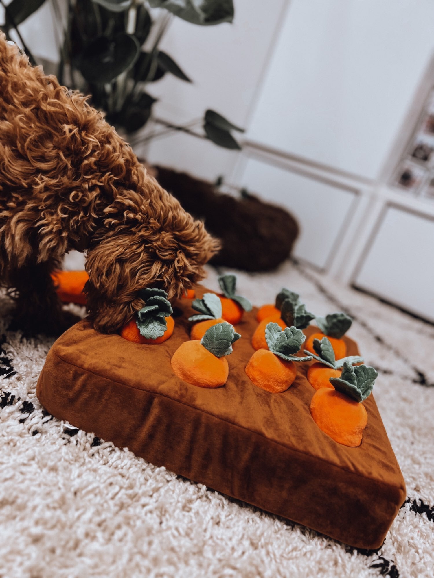 Get this Carrot Farm Toy to keep your dog entertained!!🐶🐾
