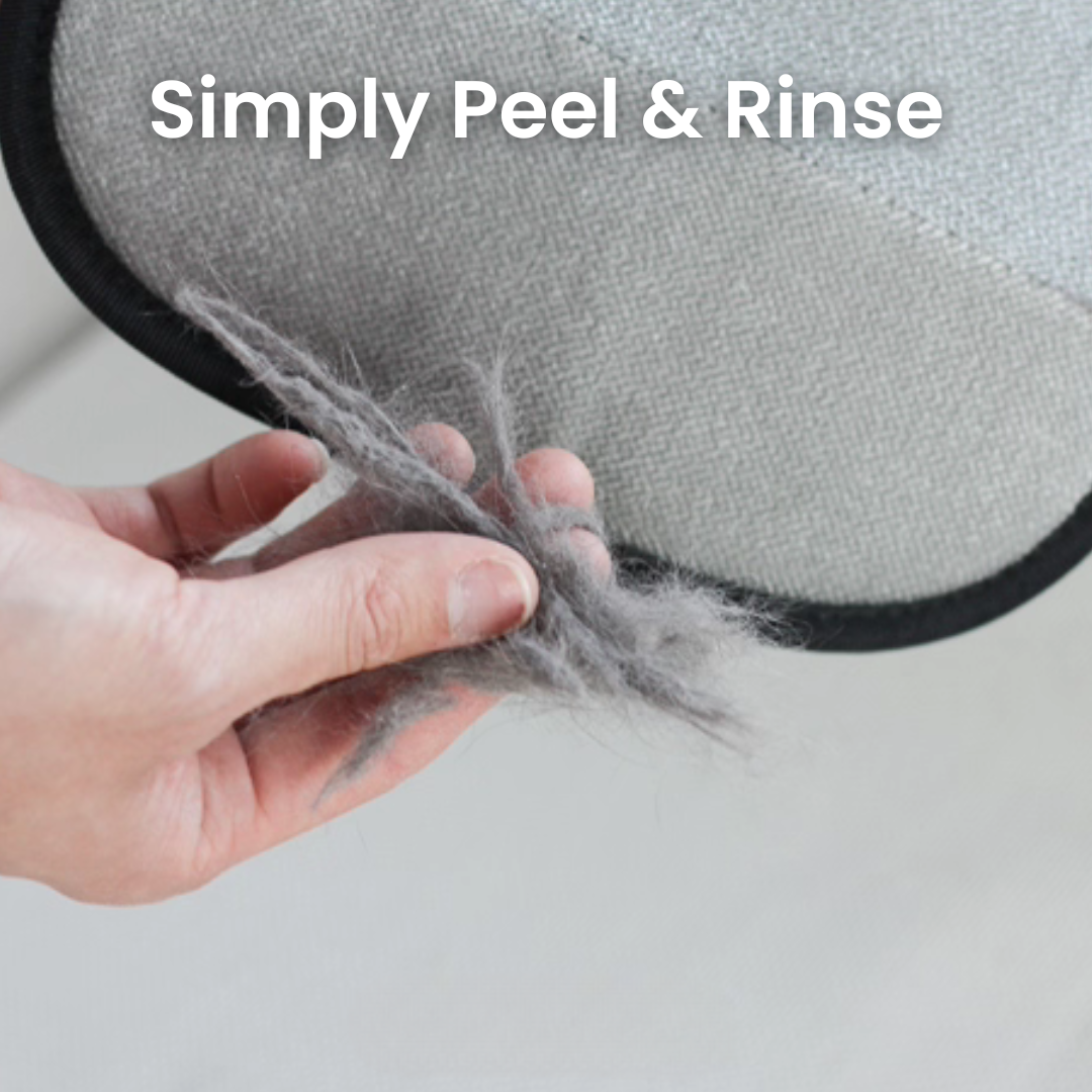 X Master – Your Shortcut to a Fur-Free Home