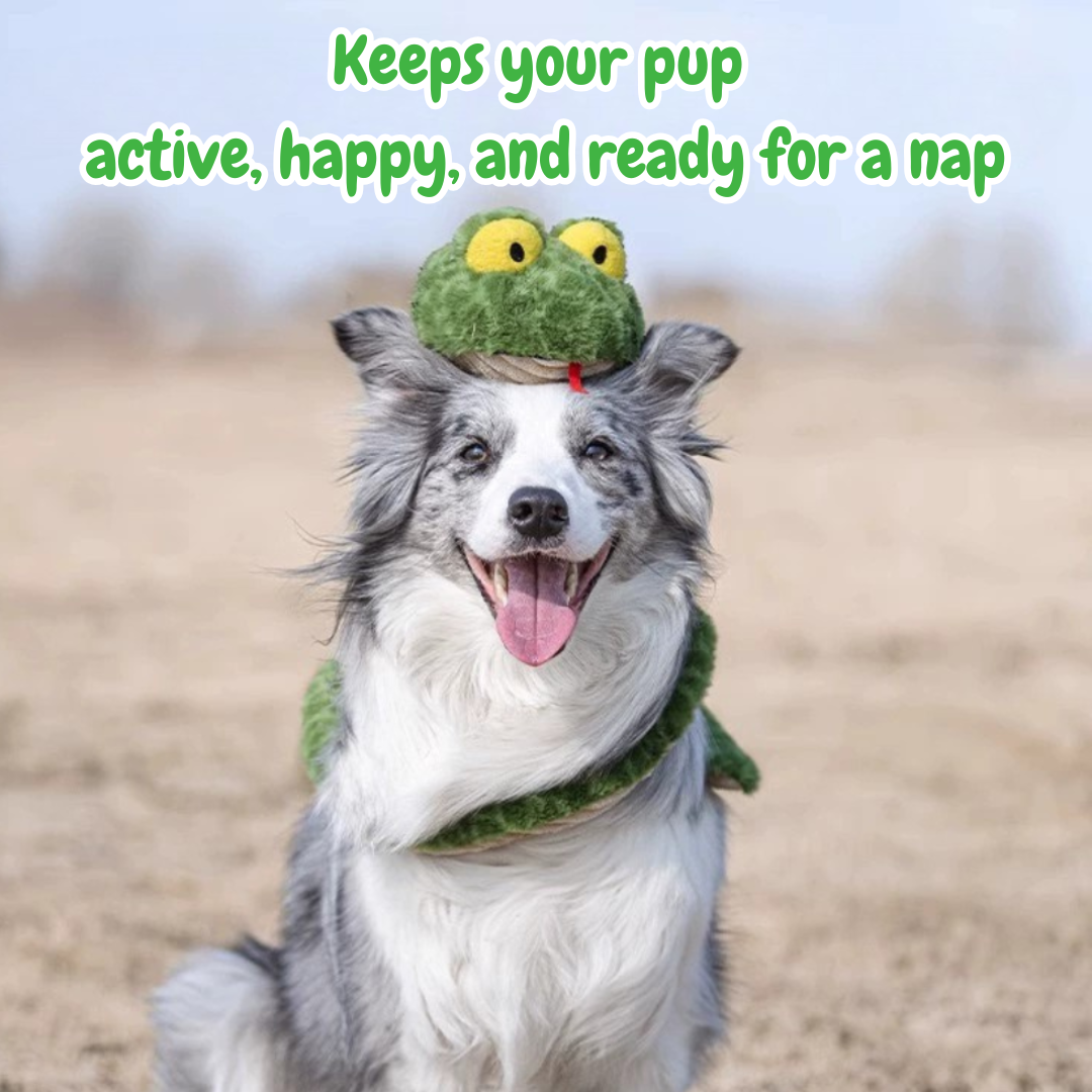 The Silly Snake – Stretchy Squeaky Dog Toy for Endless Tug & Chew Fun