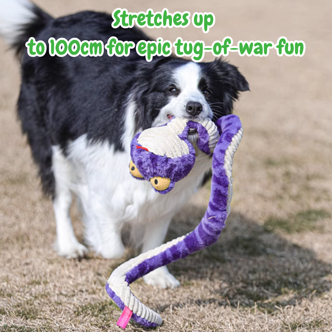 The Silly Snake – Stretchy Squeaky Dog Toy for Endless Tug & Chew Fun
