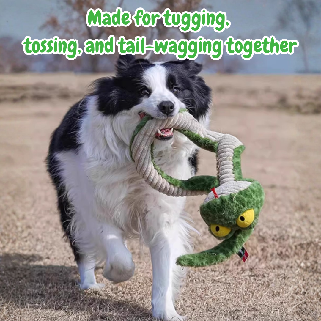The Silly Snake – Stretchy Squeaky Dog Toy for Endless Tug & Chew Fun