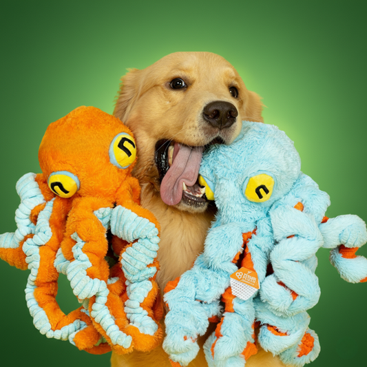 The Jolly Octopus – Squeaky Tug & Chew Toy