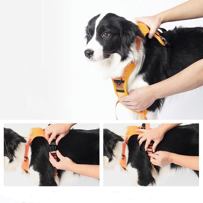 No-Pull Doggo Harness