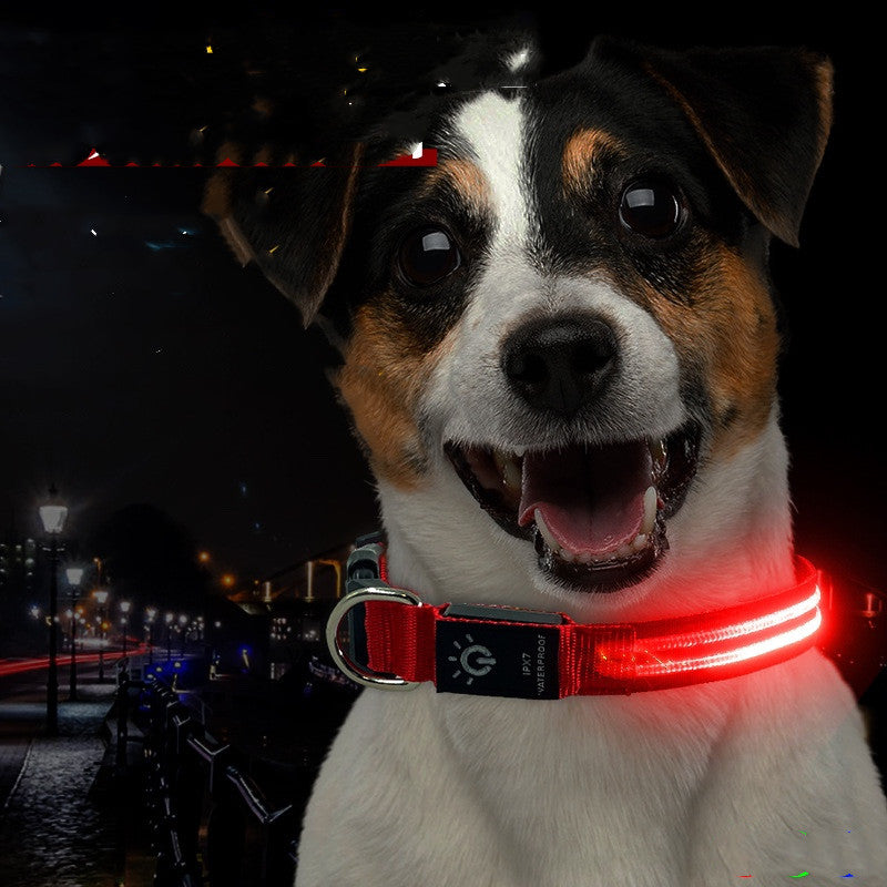 Rechargeable light up dog collar