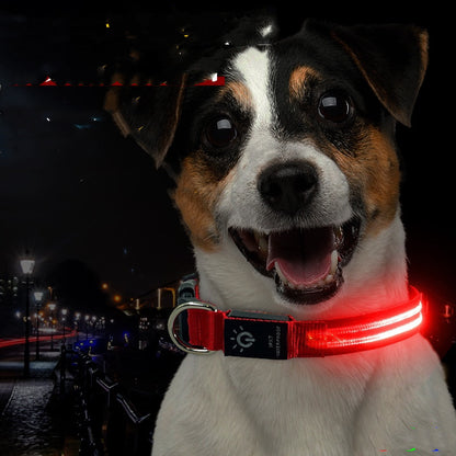 Rechargeable light up dog collar