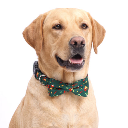 Green Festive Christmas bow tie dog collar on a Labrador