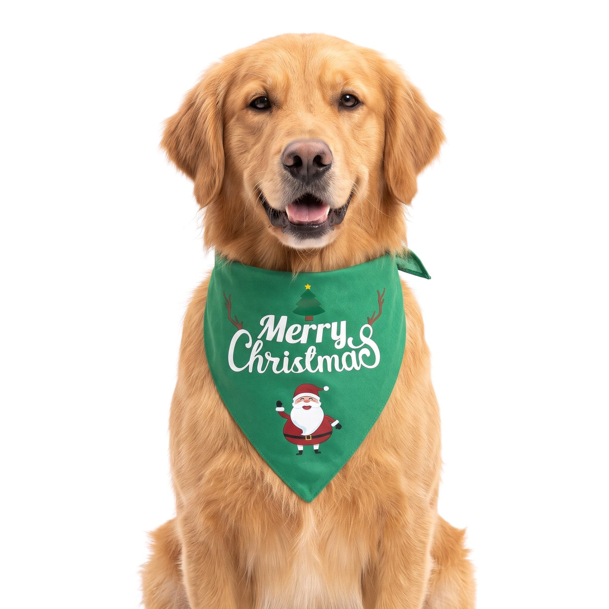 Christmas dog bandana Green Santa design on a Golden Retriever