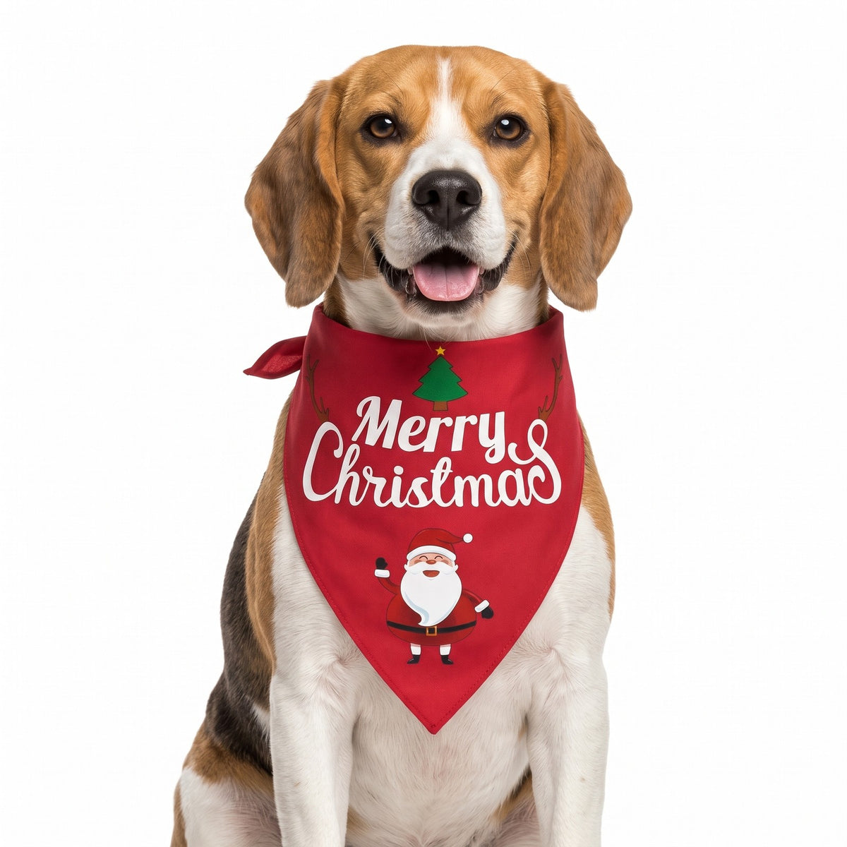 Christmas dog bandana Red Santa design on a Beagle