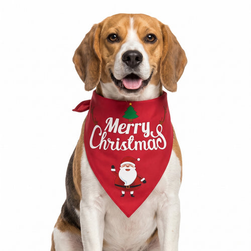 Christmas dog bandana Red Santa design on a Beagle