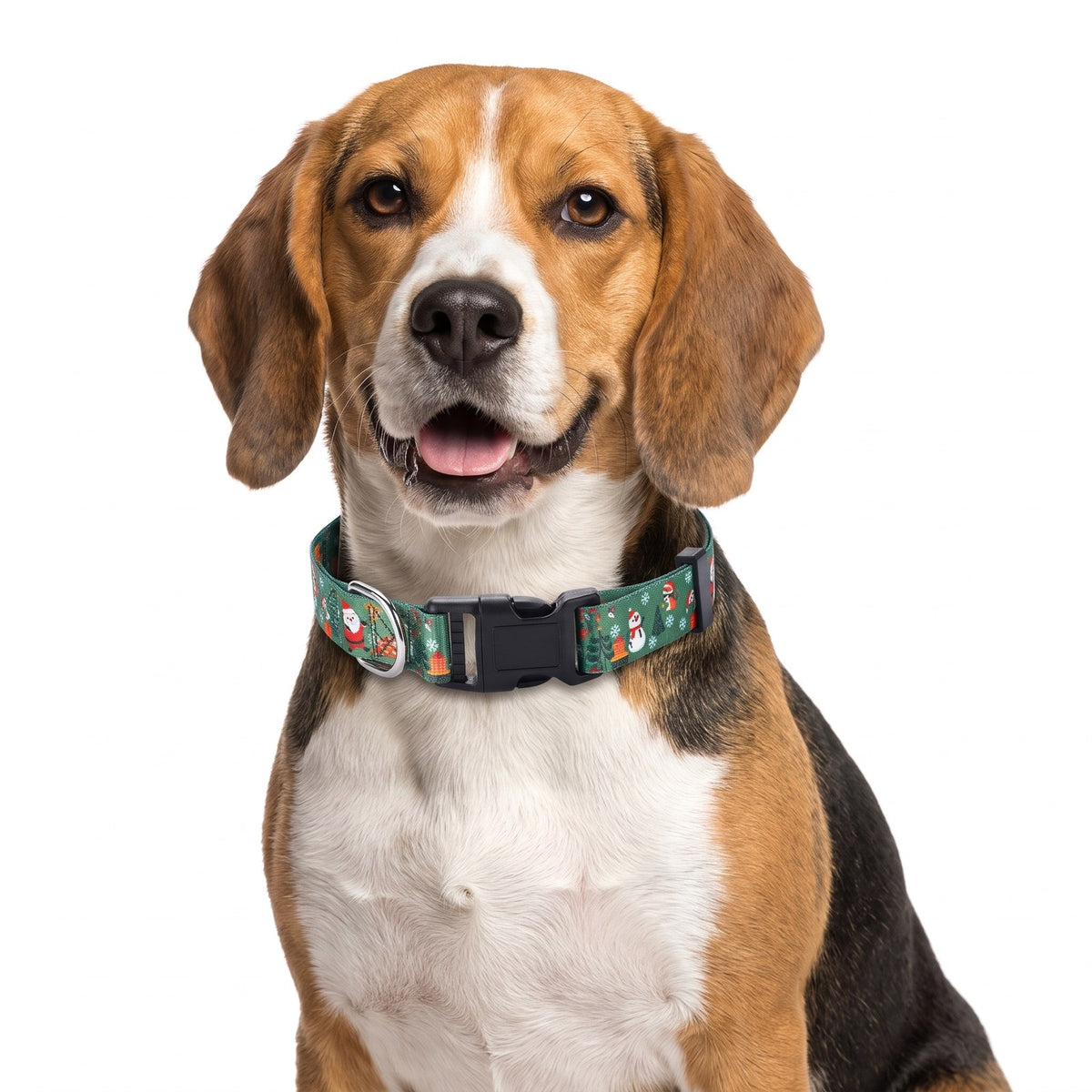 Green Christmas dog collar with Santa and snowman print on a Beagle