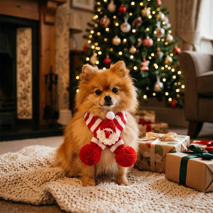 Pomeranian wearing a red Christmas dog scarf by the Christmas tree