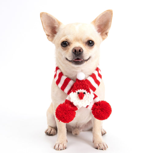 Christmas dog scarf Red Santa on a Chihuahua