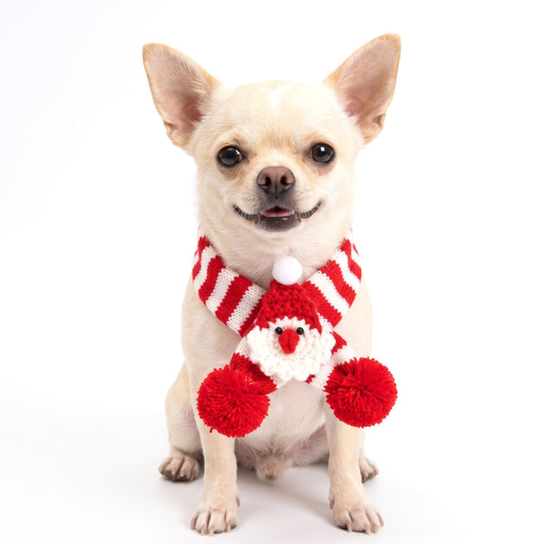 Christmas dog scarf Red Santa on a Chihuahua