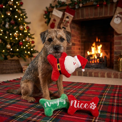 Border Terrier by the fireplace carrying the Santa plush toy with the Naughty and Nice bones