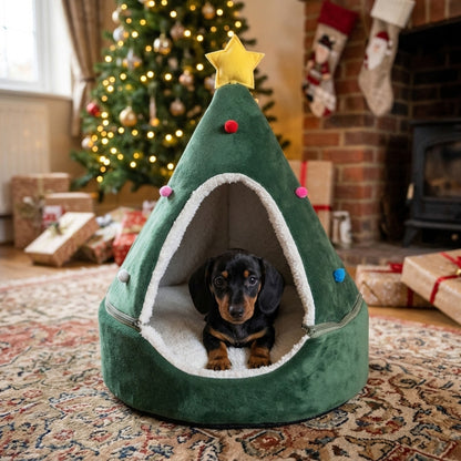 Miniature Dachshund puppy in the Star Cone Christmas tree bed
