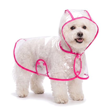 Bichon Frise wearing the clear dog raincoat with pink trim
