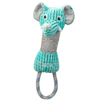 Curious Elephant