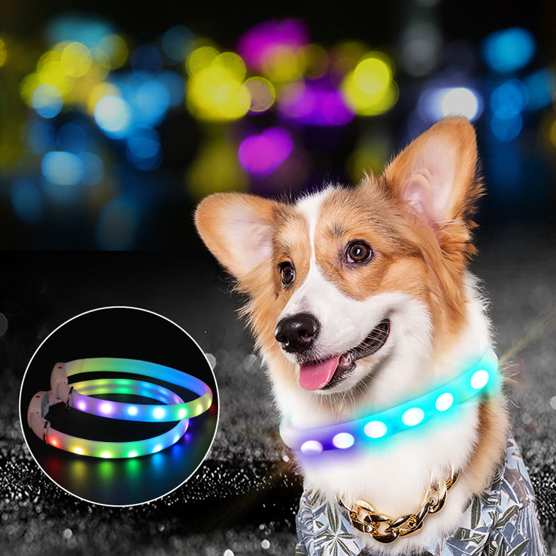 Rechargeable LED dog collar glowing