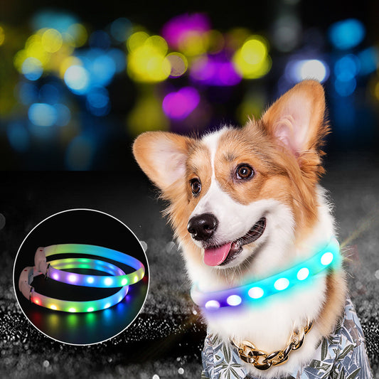 Rechargeable LED dog collar glowing