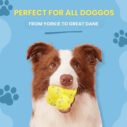 dog ball suitable for all size dogs