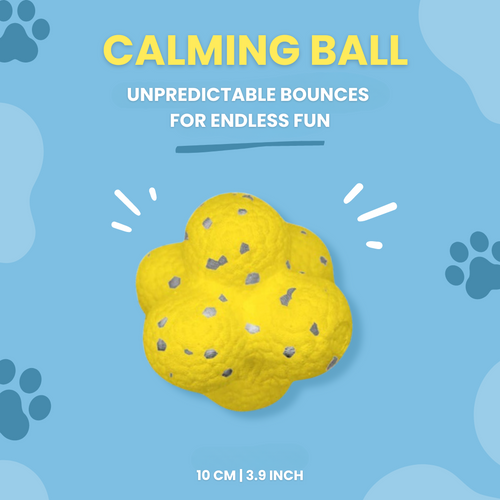 A dog ball which bounces unpredictable