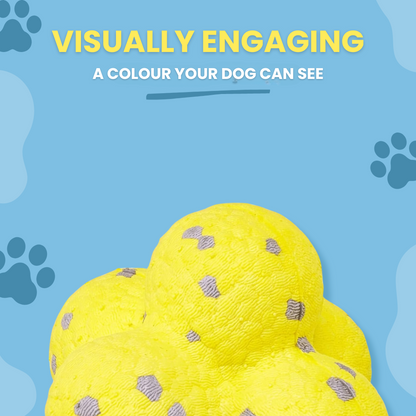 Yellow dog ball, which color your dog can see