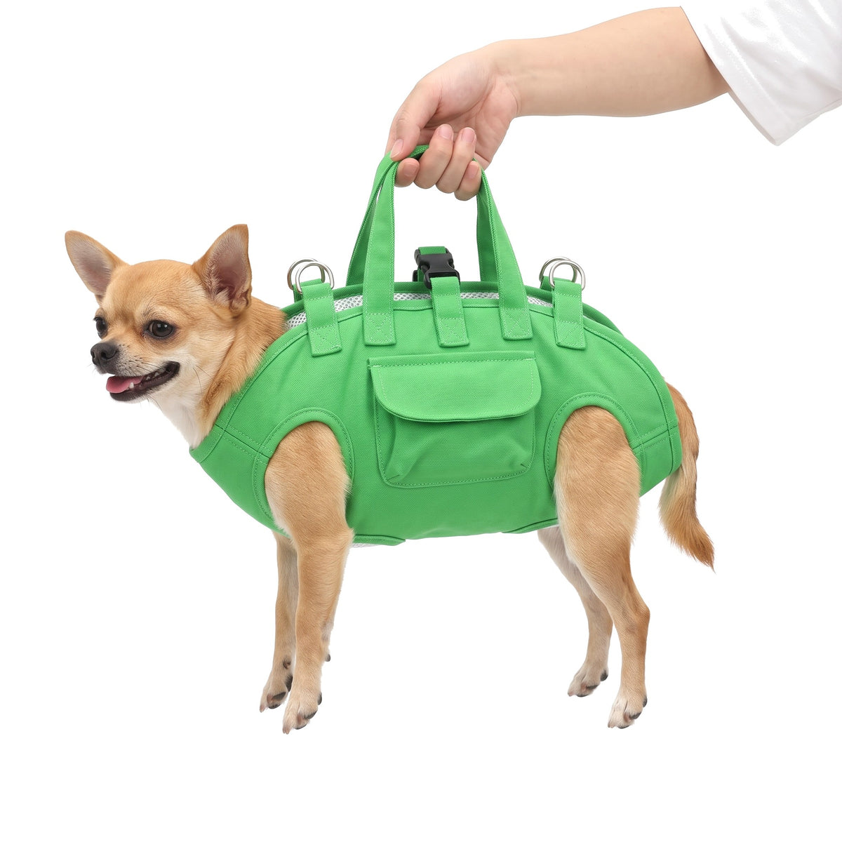 Chihuahua in the green small dog carrier bag held by the top handles