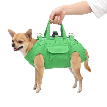 Chihuahua in the green small dog carrier bag held by the top handles