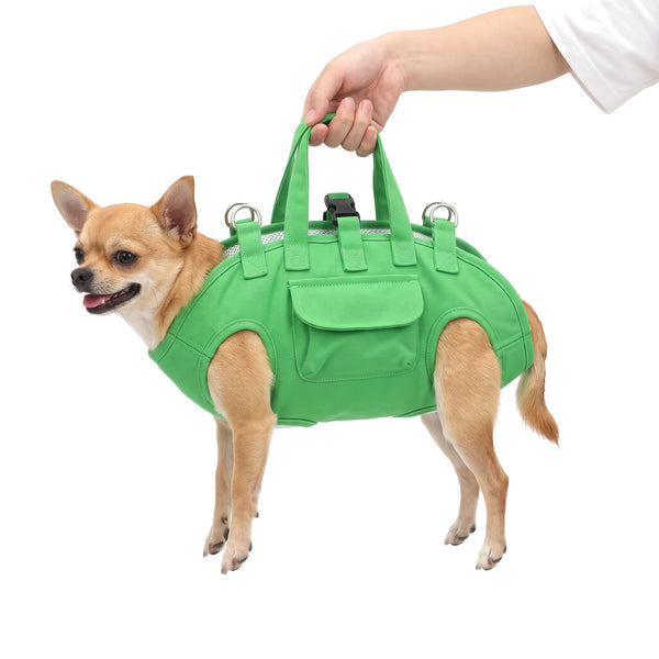 Chihuahua in the green small dog carrier bag held by the top handles