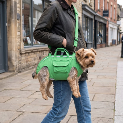 Yorkshire Terrier carried in the green dog carrier bag worn crossbody