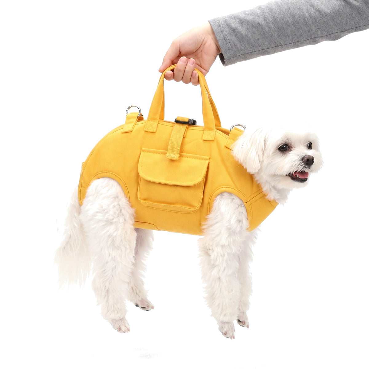 Maltese in the yellow small dog carrier bag held by the top handles