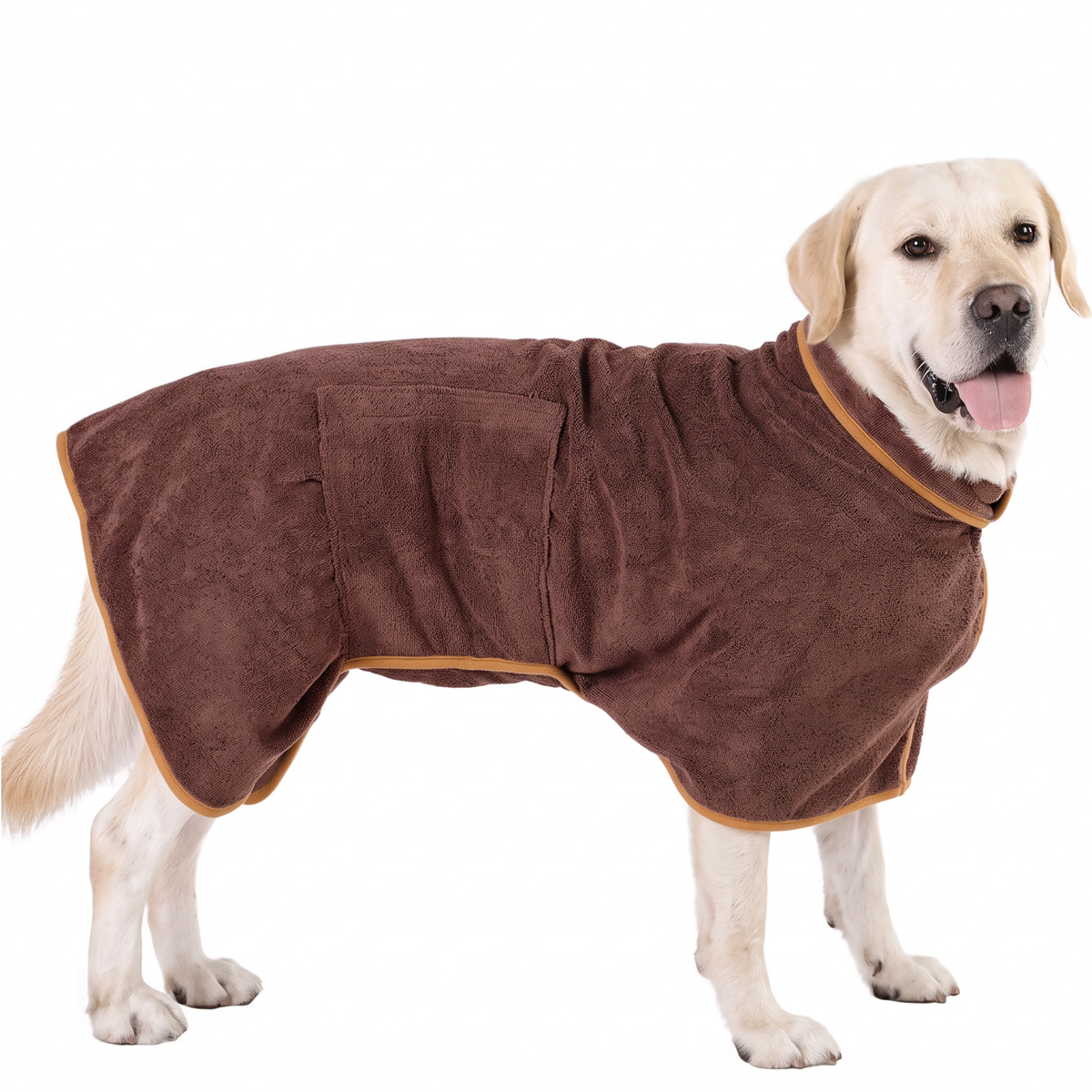 Labrador wearing coffee brown dog drying coat with belly strap