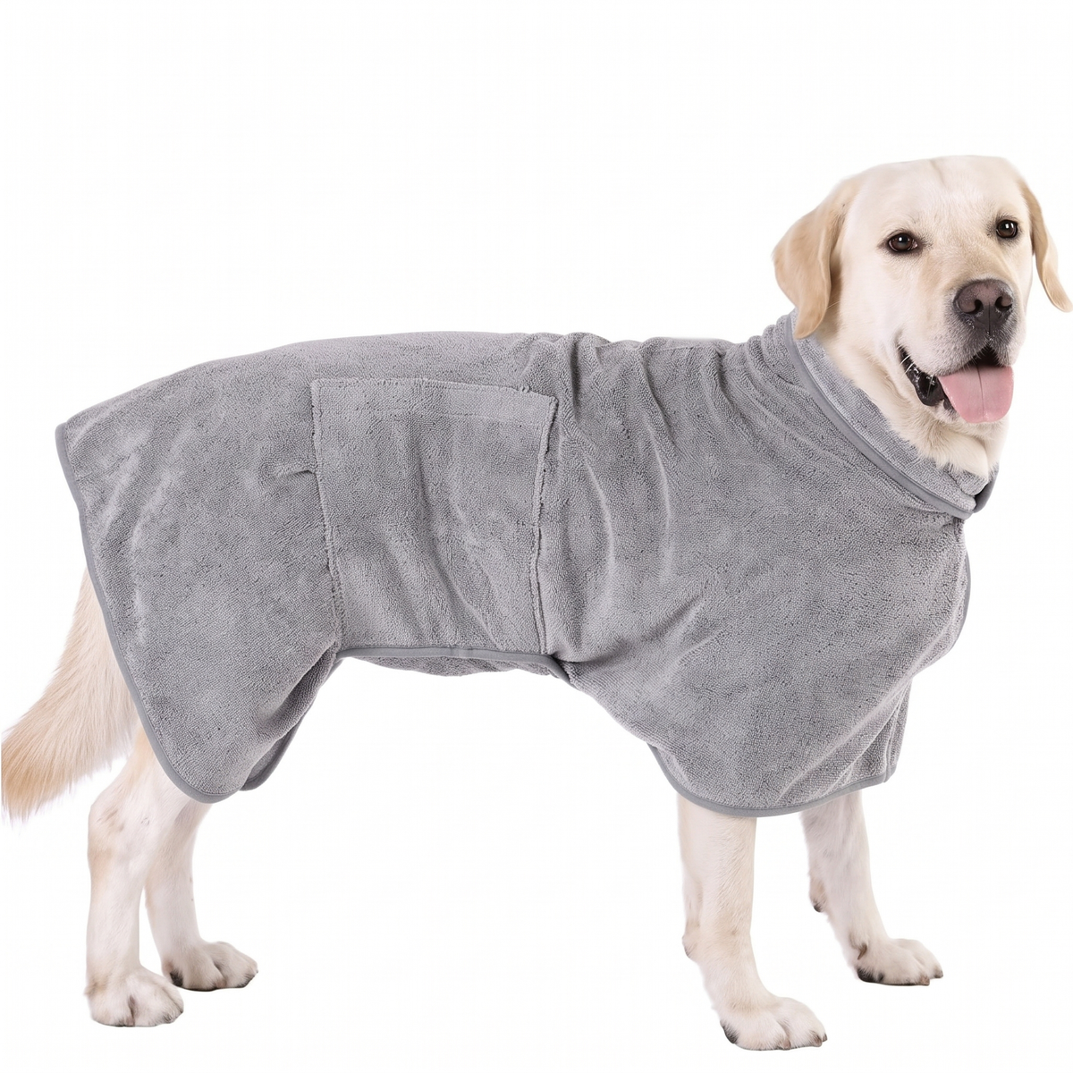Labrador wearing grey dog drying coat with belly strap