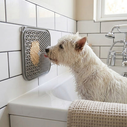 West Highland Terrier licking a treat from a grey lick mat stuck to the bathroom tiles at bath time