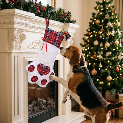 Beagle sniffing a dog Christmas stocking hanging from the mantelpiece