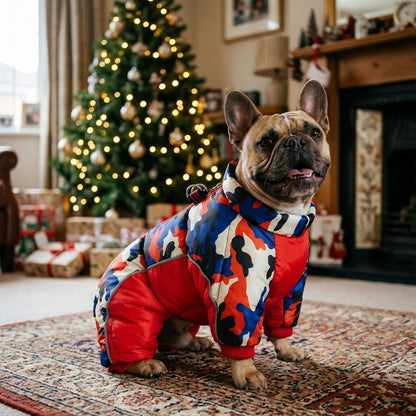 French Bulldog in a Red Camo puffer snowsuit by the Christmas tree