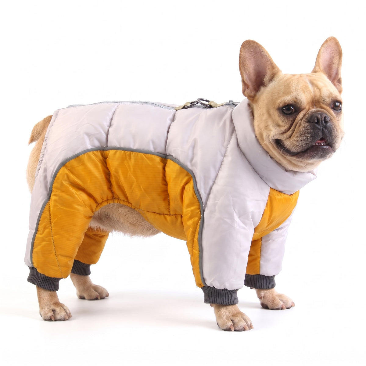 Dog puffer snowsuit in Grey Mustard on a French Bulldog