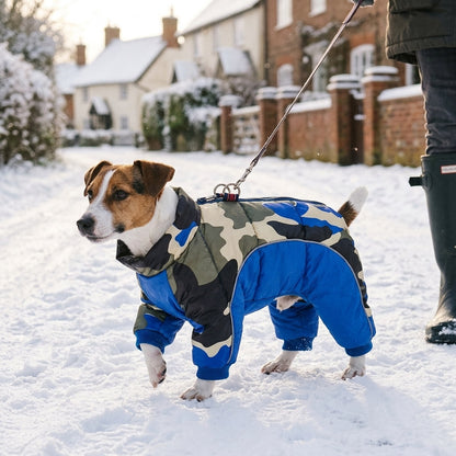Jack Russell in a Woodland Camo puffer snowsuit on a snowy winter walk