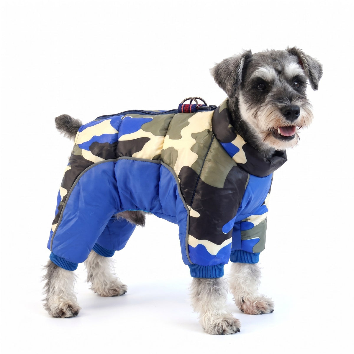 Dog puffer snowsuit in Woodland Camo on a Miniature Schnauzer