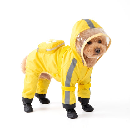 Apricot Toy Poodle wearing the yellow dog raincoat on a white background