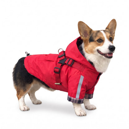 Red dog raincoat with harness on a Corgi
